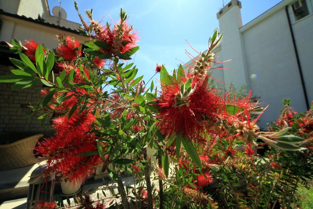 Apartments Borghese Пула Экстерьер фото